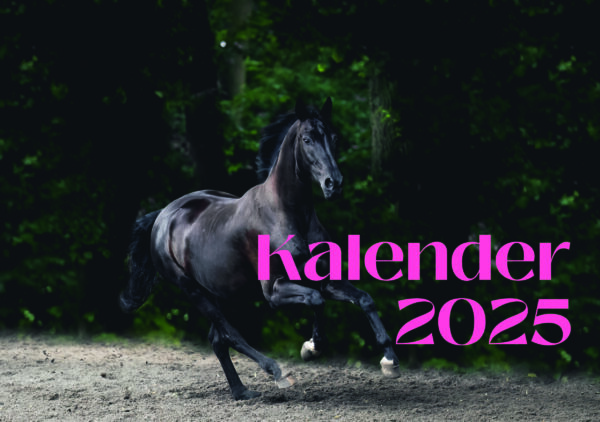 Kalender 2025